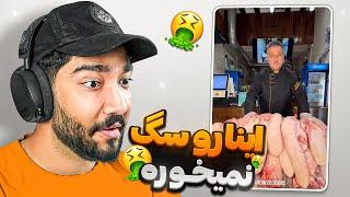 یکی جلو صنعت فودبلاگری رو بگیره ️ اینجا همه چی جنسیه