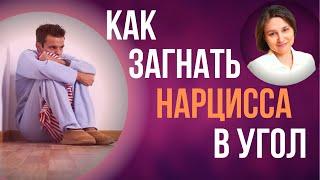 Хочешь Победить нарцисса? 5 проверенных способов.