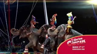 Kerak Shrine Circus 2017