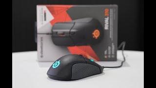 Unboxing SteelSeries Rival 310 (12,000 CPI TrueMove3 Optical Sensor, Split-Trigger Buttons, 90g)