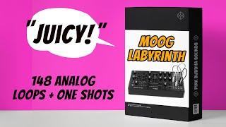 Moog Labyrinth - FREE sample pack (one-shots and loops)