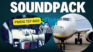 MSFS | BIG SOUNDPACK UPDATE | PMDG 737 | THIS IS AWESOME WOW