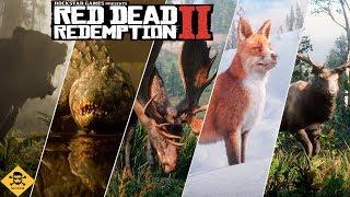 ВСЕ ЛЕГЕНДАРНЫЕ ЖИВОТНЫЕ   RED DEAD REDEMPTION 2