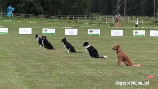 Qualifications – Group Exercises – Group 1