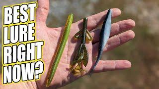 Best Lure for Bass Fishing Right Now? Which Walmart Lure Catches Bass