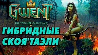 Идем на 15 ранг! Колода: гибридные Скоя'таэли ! [Gwent]