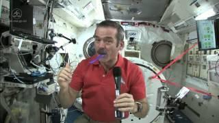 Astronaut Chris Hadfield Brushes his Teeth in Space | CSA ISS Science Full HD Video