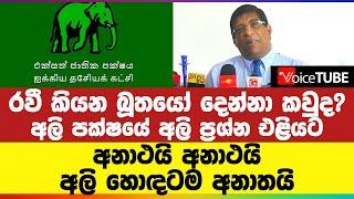 රවී කියන බූතයෝ දෙන්නා කවුද? | අලි පක්ෂයේ අලි ප්‍රශ්න එළියට | අනාථයි අනාථයි අලි හොඳටම අනාතයි