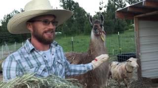 Our Visit to the Grass-Fed Homestead