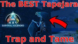 Ark Survival Ascended Tapejara Taming, Ark How to tame Tapejara, Ark Tapejara Trap