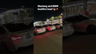 Mustang And BMW’s Backfire Loud ! #cars #bmw #ford #shorts