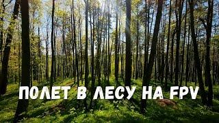 Полет в лесу на Cinewhoop. FPV cinematic forest footage