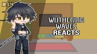 Wuthering Waves: Rinascita Reacts to Rover's Titles
