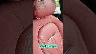The interior of this electric GT 