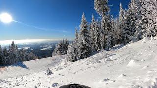 Černá hora - Janské Lázně - Pod kabinou - 11/01/2022