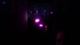 Butterfly Skulls