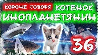 КОРОЧЕ ГОВОРЯ, КОТЕНОК - ИНОПЛАНЕТЯНИН 36 [От первого лица] Бездомный котенок Лайки