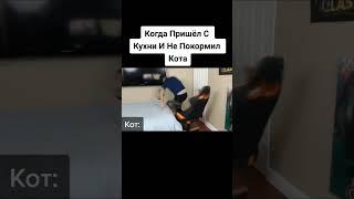 когда пришел с кухни и не покормил кота