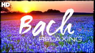 The Best Relaxing Classical Music Ever By Bach - Relaxation Meditation Focus Reading