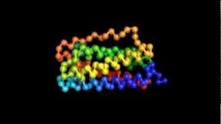 Protein Folding