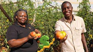 How She Bought a Car by Selling Tomatoes