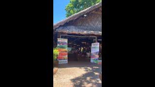 Tuguegarao, thank you for joining IDP’s Study Abroad On the Go!​