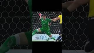 100% Crazy Goalkeepers 