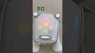 THaT’s a Dog!?  #idog #robotdog