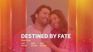 Destined by Fate | Is this the end of Sayuri?