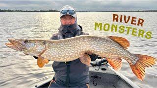 Catching GIANT Irish Pike! | River Monsters Fishing with INSANE Tactics
