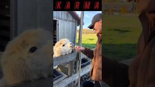 Karma #karma #viralshort #video #film #wooww #like #sub #shere #viralvideo