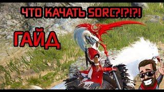 Black Desert  Гайд на Колдунью SORC 2024. ЧТО КАЧАТЬ?!