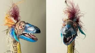 Jane Davies's Portfolio Slideshow