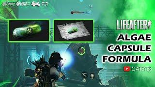 ️ LIFEAFTER How to Stuck Levin BOSS  get Green Algae Capsule and Defeat Scorpion BOSS 