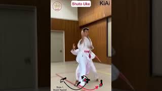 Empi-Enpi Kata SKO Karate Shotokan WR