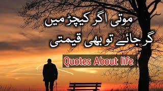 Quotes about life | aqwal e zareen | quotes in urdu | Charagh E Manzil