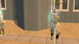 Sims 2 Life With A Twist