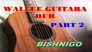 WALLE DUR, BISHINGO PART 2  BEST OLD OROMO GUITAR SONGS