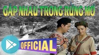 Gặp nhau trong rừng mơ - Trọng Tấn ft Tân Nhàn