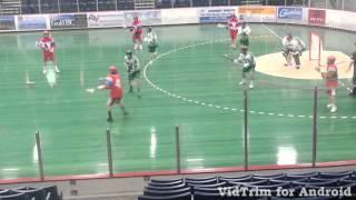 Dalton Lupul Box Lacrosse Goal June 2013 (1 of 2)