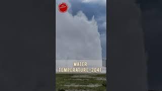 Old Faithful Geyser Eruption Yellowstone  National  Park  U.S. Famous Geyser