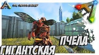 ARK Survival Evolved - ПРИРУЧЕНИЕ ГИГАНТСКОЙ ПЧЕЛЫ! УЛЕЙ! TAMING GIANT BEE!