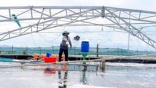 Áp dụng chế phẩm sinh học vào nuôi tôm mang lại hiệu quả cao