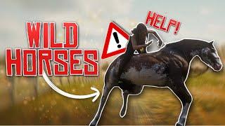 RDR2 Roleplay...but we break in wild horses