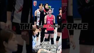 Sang MEGATRON Red Sparks Liga Korea #volleyball #megatron #volleyballworld #volley #volitarkam #mega