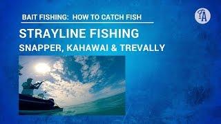 BAIT FISHING: How to catch fish using a STRAYLINE rig, technique tips