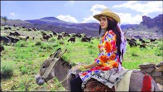 Village Life Iran: Village Girl Rides Donkey & Shepherds All Day | Village Fast Food