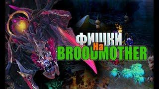 ФИШКИ НА BROODMOTHER DOTA 2