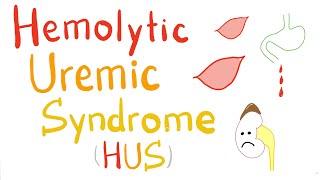 Hemolytic Uremic Syndrome (HUS)