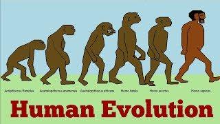 Human Evolution | A mini project OpenGL